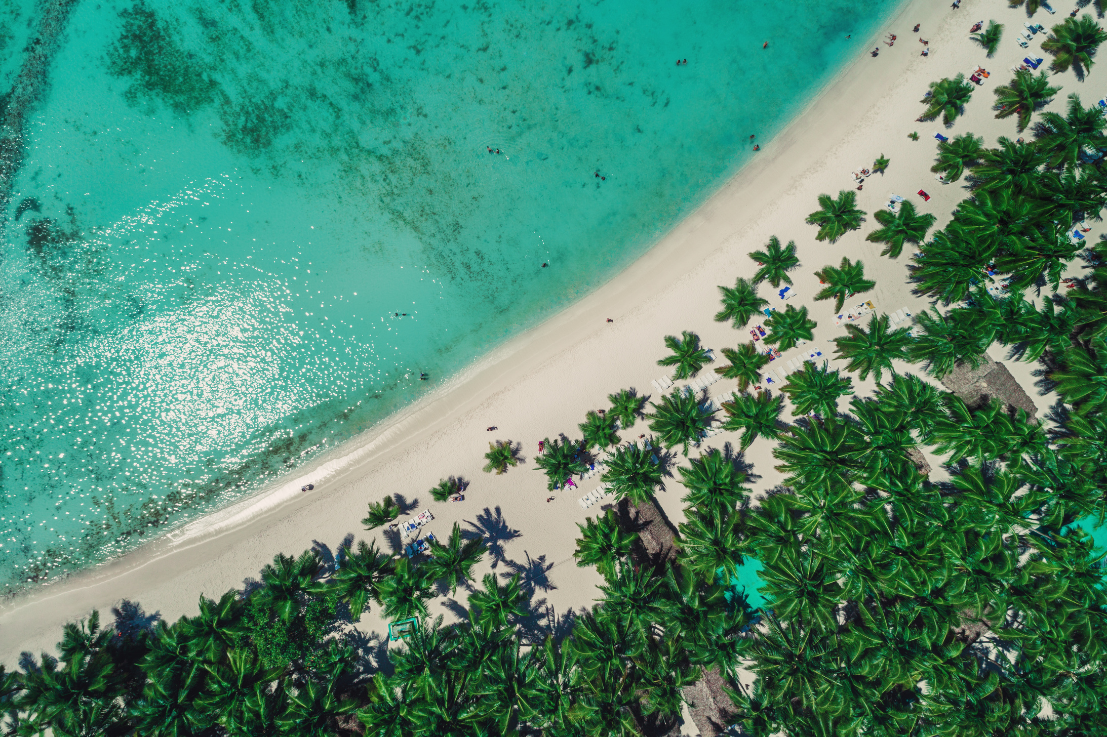 Aerial view of tropical island beach, Dominican Republic