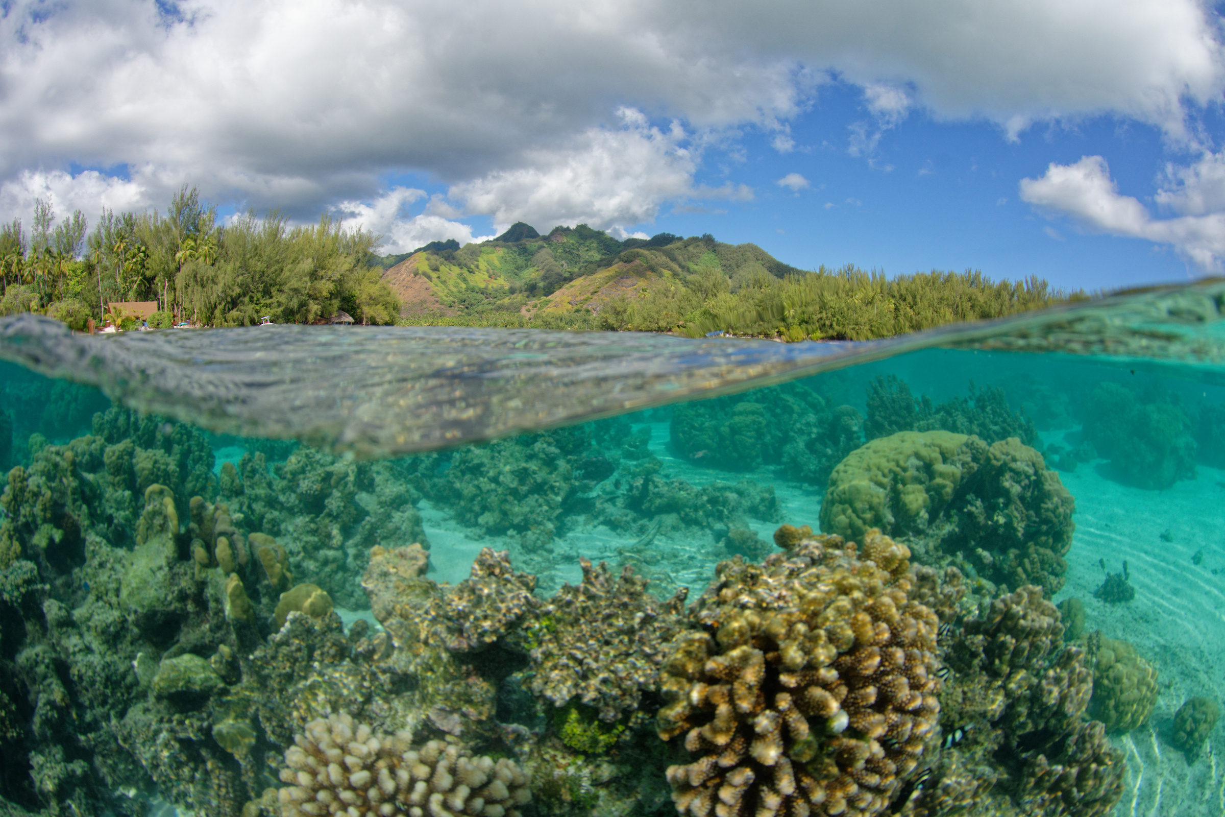 Moorea - French Polynesia