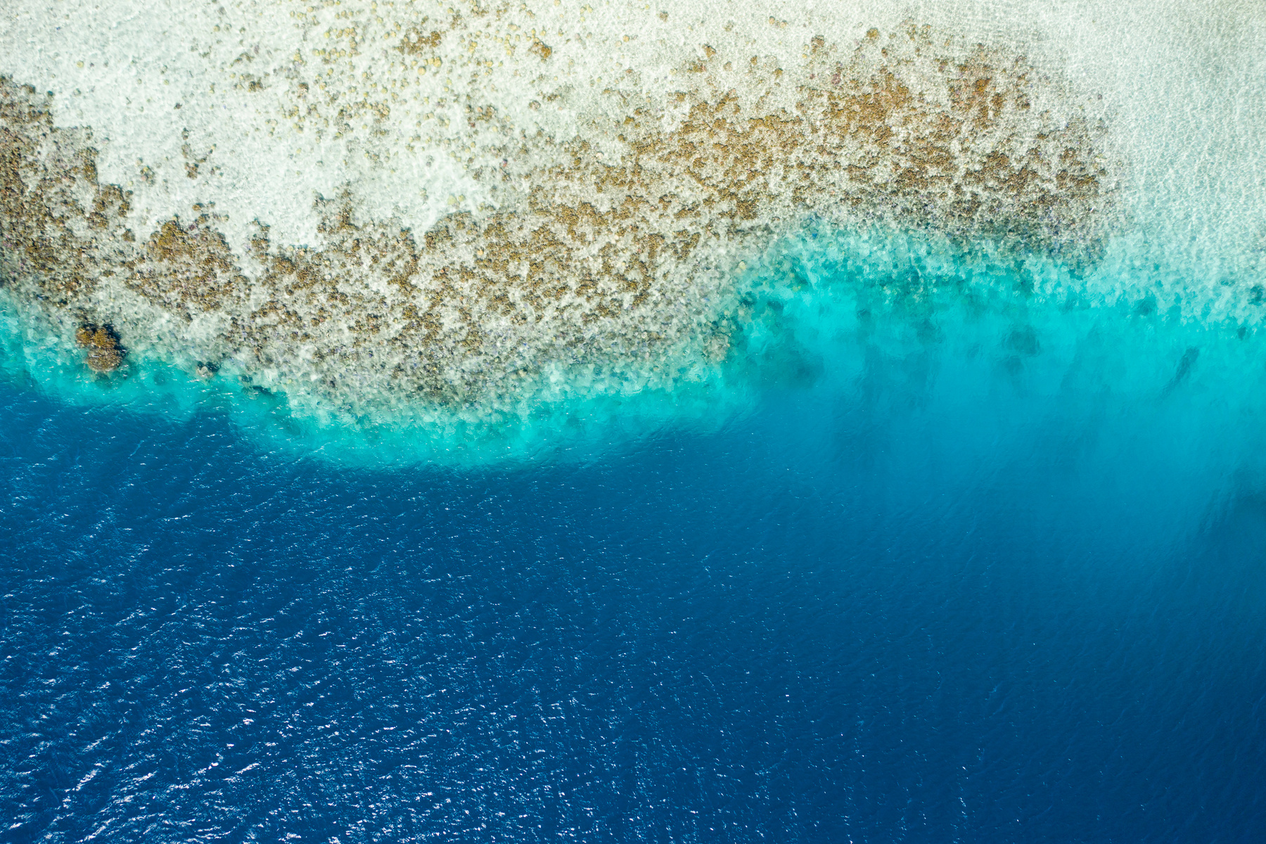 French Polynesia